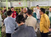 Jelang Ramadan, Pasokan Elpiji di Gorontalo Dipastikan Stabil