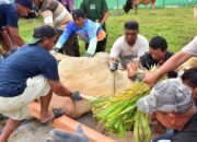 Polda dan Polres se-Sulteng Sembelih Ratusan Hewan Kurban