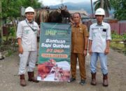 Perkuat Kepedulian Sosial, IMIP Kembali Salurkan Sapi Kurban