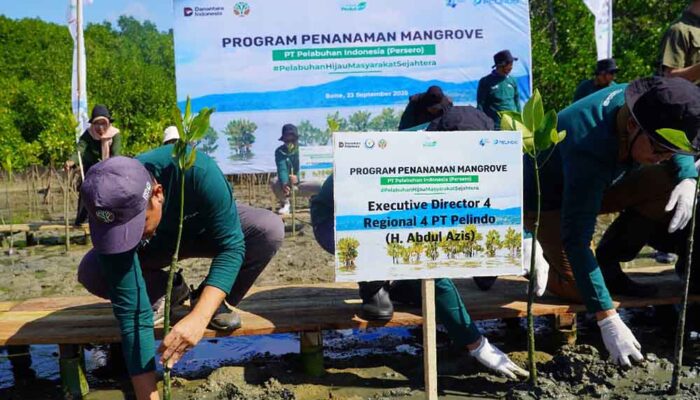 Pelindo Regional 4 Kick Off Rehabilitasi Mangrove di Bone