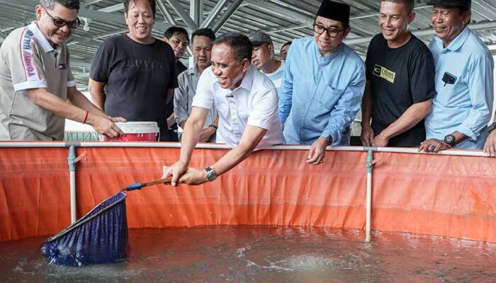 Program Berani Tangkap Banyak Gubernur Sulteng Sasar Budidaya Nila dan Sidat