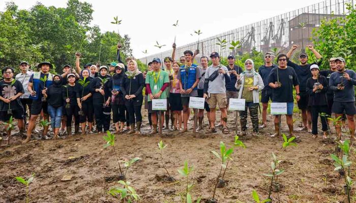 IMIP Menjaga Bumi Lewat Mangrove Hingga EduPark