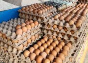 Meski Harga Naik, Stok Telur di Pasar Palu Aman