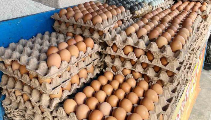 Meski Harga Naik, Stok Telur di Pasar Palu Aman