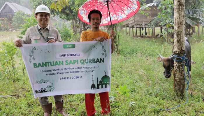 Tradisi Tahunan, IMIP Bagikan Hewan Kurban untuk Warga Bahodopi