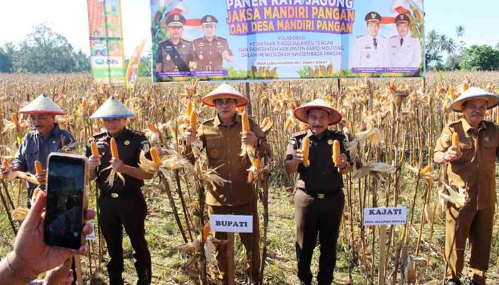Parigi Moutong Perkuat Status Lumbung Jagung Sulawesi Tengah