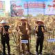 Parigi Moutong Perkuat Status Lumbung Jagung Sulawesi Tengah