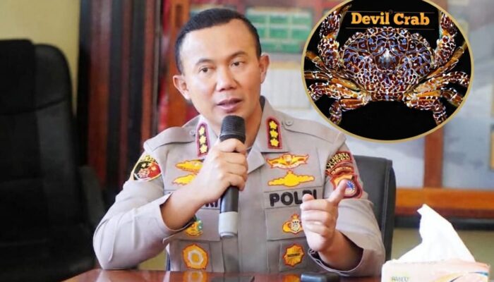 Mengandung Racun Mematikan, Polres Banggai Minta Warga Tak Konsumsi Kepiting Setan