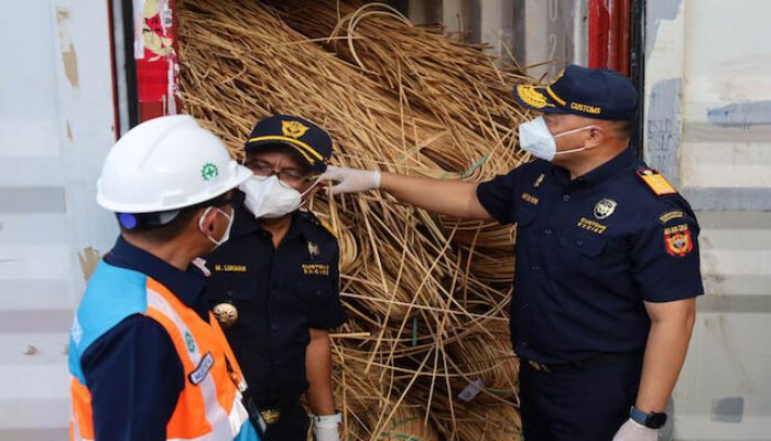 Bea Cukai Gagalkan Penyelundupan 50,3 Ton Rotan Ilegal ke Tiongkok