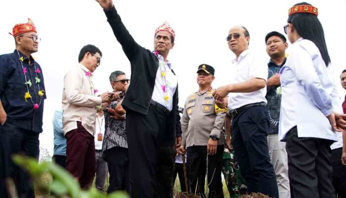 Poso Jadi Pusat Investasi Peternakan Sapi Perah 