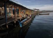 Harmoni Manusia dan Alam Terjaga di Torosiaje