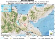 Gempa Ringan Guncang Morowali Utara dan Parigi Moutong