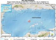 Wakai, Tojo Unauna Diguncang Gempa