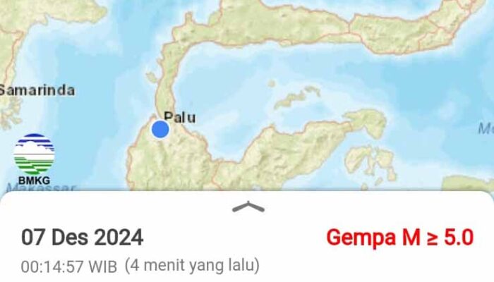 Gempa 6,0 Magnitudo di Buol, 13 Rumah dan Fasilitas Umum Rusak