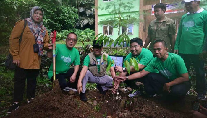 Kolaborasi Hijau, Sulsel Tanam 6,6 Juta Pohon di 2024