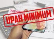 Sudah Disepakati, UMK Palu 2025 Menjadi Rp3,3 Juta