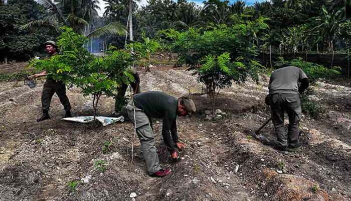 Satgas Madago Raya Dorong Kemandirian Pangan Warga Poso
