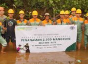 IMIP Perkuat Ekosistem Pesisir Morowali dengan Tanam Mangrove