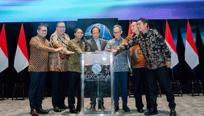 DXCarbon, Wadah Perdagangan Karbon Internasional Perdana Indonesia