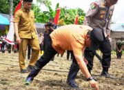 Polri dan Kementan Dorong Swasembada Jagung di Sulbar