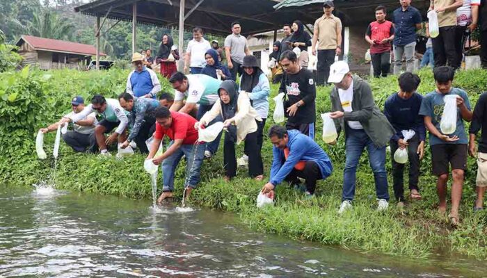 Pemprov Sulbar Tebar 50 Ribu Benih Nila di Sungai