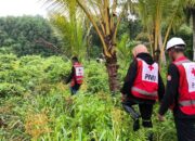 Disuruh Pulang, Bocah 5 Tahun Malah Hilang di Hutan
