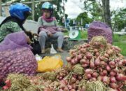 Bawang Merah Mahal, IRT di Palu Terpaksa Menghemat