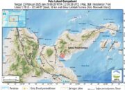 Morowali Utara Diguncang Gempa Magnitudo 3,8