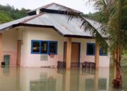 Banjir Landa Tiga Desa di Tolitoli, Ratusan Rumah dan Lahan Pertanian Terendam