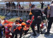 Nahas! Perenang di Teluk Palu Tewas Setelah Digigit Buaya