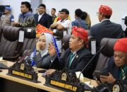 Legislator Minta Penertiban TKA di Sulteng untuk Maksimalkan PAD