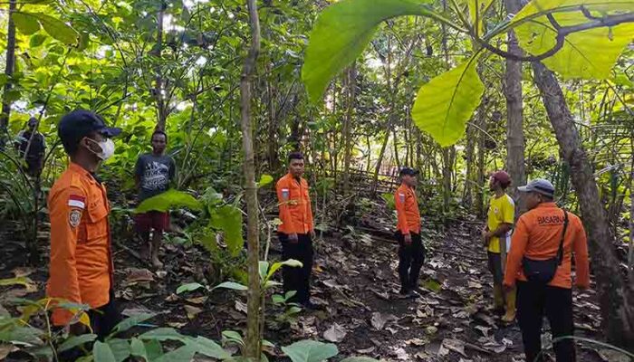 Nenek 70 Tahun Hilang Misterius di Kebun Jati Tikupon