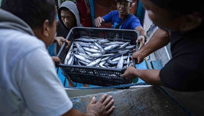 Sulawesi Utara Jadi Pusat Ekspor Perikanan Timur Indonesia
