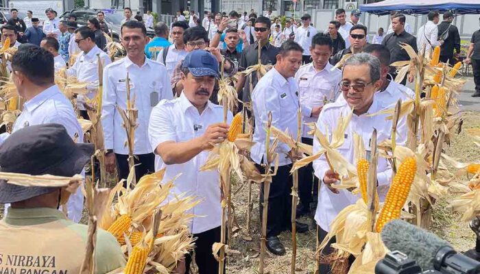 167 Hektar Lahan Nusakambangan Dioptimalkan untuk Ketahanan Pangan