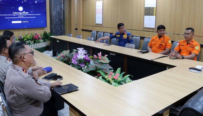 Palu Rawan Buaya, Basarnas Dorong Pembentukan Satgas Pantai