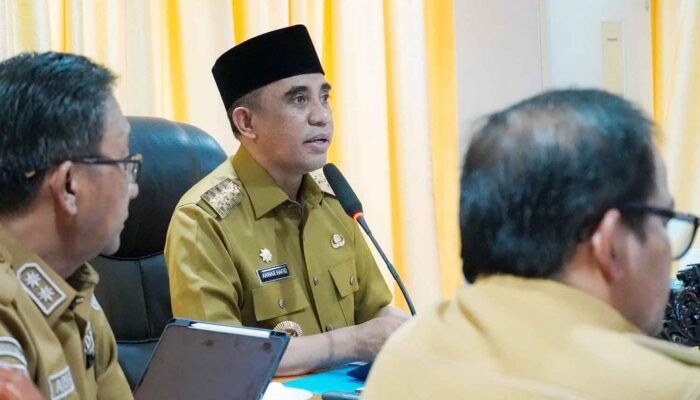 Anwar Hafid Promosikan Potensi Sulteng di Hadapan Investor Tiongkok