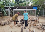 Pertamina Kembangkan Budidaya Bebek Petelur untuk Perkuat Ekonomi Desa