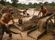 1.000 Lebih Tambang Ilegal Akan Ditindak, Termasuk di Sulteng?