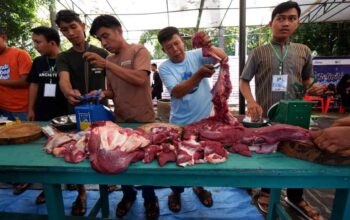Cara Konsumsi Daging Kurban agar Terhindar dari Risiko Stroke