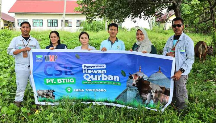 Huabao Indonesia Bagikan 17 Sapi Kurban di Morowali