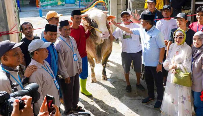 Warga Sulteng Nikmati Daging Kurban dari Presiden dan Gubernur