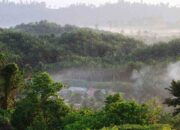 IUP PT ANA Sejak 2007, Proses HGU Terus Berjalan