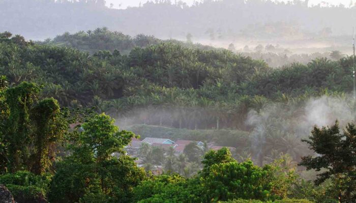 IUP PT ANA Sejak 2007, Proses HGU Terus Berjalan