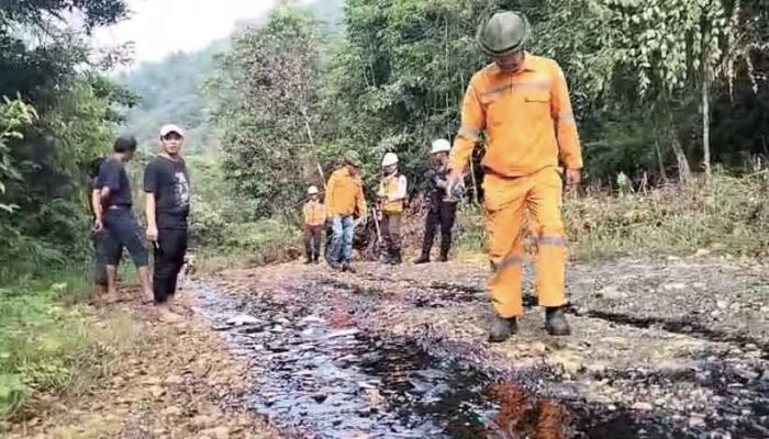 Janji Hijau PT Vale Ternoda Kebocoran Pipa di Towuti