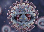 Kasus Langka, Nenek 80 Tahun di Korsel Positif HIV