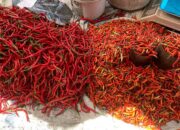 Pasokan Melimpah, Harga Cabai di Palu Turun Drastis