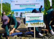 Pelindo Regional 4 Kick Off Rehabilitasi Mangrove di Bone