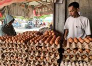 Tradisi Maulid Bikin Harga Telur di Palu Kian Mahal
