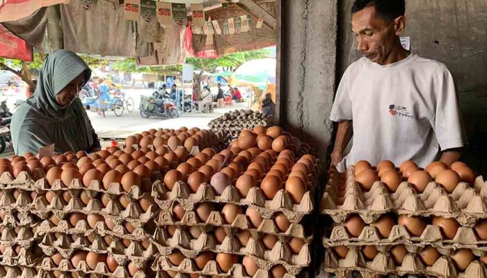 Tradisi Maulid Bikin Harga Telur di Palu Kian Mahal