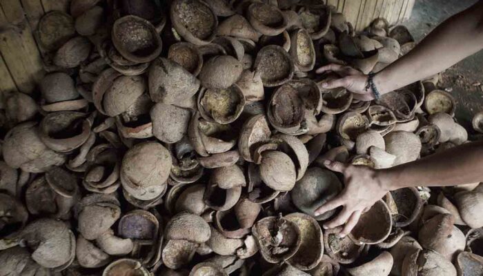 Permintaan Berkurang, Harga Kopra di Kota Palu Jatuh